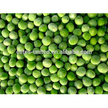 bulk green peas